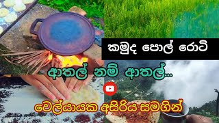 වෙල් යායක අසිරිය සමගින් පොල් රොටි || @official-ux1op