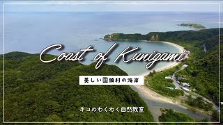 【4K・沖縄空撮・やんばる】美しくダイナミックな国頭村の海岸・沖縄の海・やんばる国立公園・Coast of Kunigami