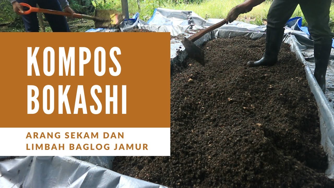 Pembuatan Pupuk Kompos Bokashi [ Kotoran Ternak, Arang Sekam, & Limbah ...