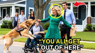 HOA Karen Attacked My Wheelchair Son's Guide Dog—She Had No Idea I'm Federal Judge