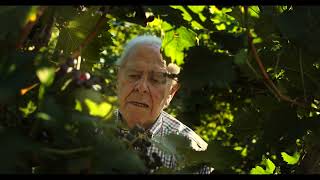 LORENZO TEDESCHI: THE STORY OF A LIFE,  IN A VINE