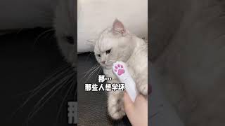 #粤语 #撑粤语 学坏还需要小猫咪教吗，什么都赖小猫咪