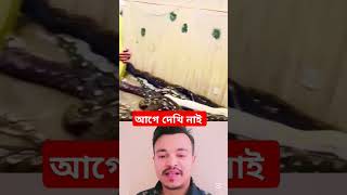 বিশ্বের সবচাইতে বড় সাপ #viral #reels #fyp #comedy #viralreels #OMG #funny #viralreelsfacebook #bmw