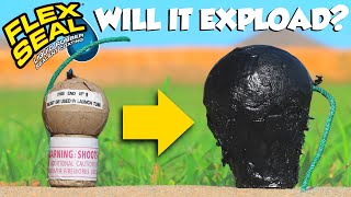 I Coated Fireworks In Flex Seal