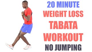 20 Minute Weight Loss Tabata Workout No Jumping 🔥 Burn 180 Calories 🔥