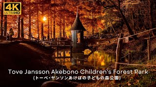 (4K)  Autumn Leaves (Japan) トーベ・ヤンソン あけぼの子どもの森公園 （紅葉） Tove Jansson Akebono Children's Forest Park