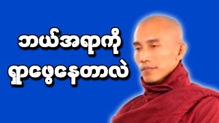 ဘာကိုရှာနေကြတာလဲ တရားတော်