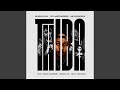 Shaun 101, Mluusician & DJ Maphorisa - Thiba (feat. Tango Supreme, Uncool MC & Ricky Lenyora)
