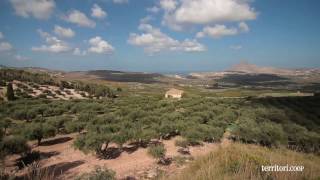 Destinazione: Sicilia! Alla scoperta di prodotti tipici e produttori locali