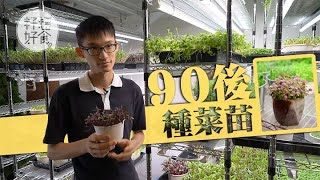 【90後創業】 大學生畢業做農夫種微菜苗 全年無糧月用千元繼續撐