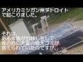 犬を捨てた飼い主よ・・愛犬はあなたを1年間も待ち続けて亡くなりました。