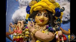 2016 Mayapur Sri Chandan Yatra Festival for 21 days. Full Length Pictorial Video.