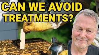 Beekeeping Without Treating For Mites! Good or Bad?