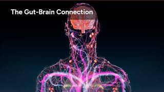 The Gut Brain Connection Your Second Brain
