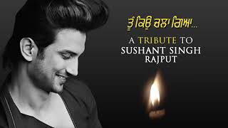 A Tribute to Sushant Singh Rajput|Suicide by Sushant Singh Rajput|RIP Sushant| Dharminder Singh Ubha