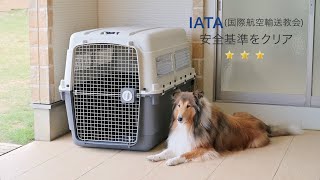 ペットケンネル・ファーストクラスL120サイズ大型犬用