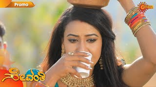 Sevanthi - Promo | 18th February 2020 | Udaya TV Serial | Kannada Serial
