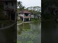 Bintan Banyu Biru Banglow Second Level Balcany View of pond