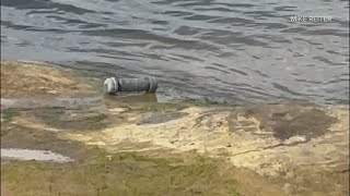 North Texas man finds explosive while metal detecting at lake
