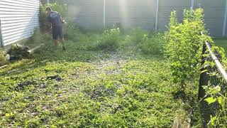 Super Fast Weed And Brush Removal by Schott Services