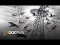 Westall 66 | Official Trailer | DocPlay