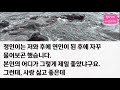 신청사연 친자식처럼 대해준 장모님 벌초하러 갔다가 동네주민이 아내가 벌초했다며 왜 또 오냐고 하길래