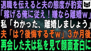 【スカッとする話】退職した途端、夫「金も稼げない役立たず女は俺に従え、嫌なら離婚だ！」と豹変。私「じゃあ離婚で」夫「は？後悔するぞｗ」３カ月後、再会した夫は私を見て顔面蒼白に→実は…