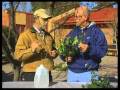 How To Protect Outdoor Plants And Shrubs In The Winter