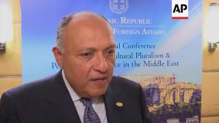 Egypt FM calls for countries to work together against extremism