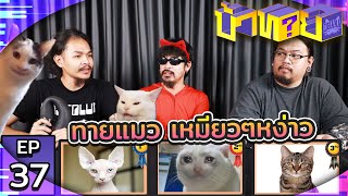 OHANA บ้าทาย EP.37 : ทายแมว เหมียวๆหง่าว