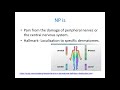 KNH-UoN Webinar : Neuropathic Pain Management