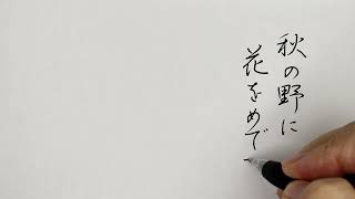 【ペン習字】秋の野に花をめでつつ手折るにも迷ふことあり人といふもの(伊藤左千夫)