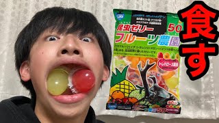 【閲覧注意】昆虫ゼリー食べてみた