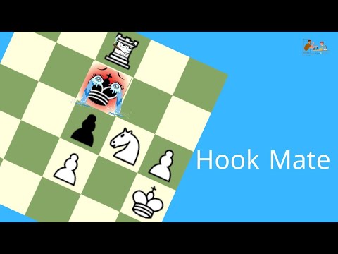 Hook Mate Youtube