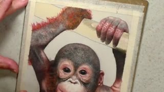 Draw Baby Orangutan Hands | Pastel Pencil Tutorial