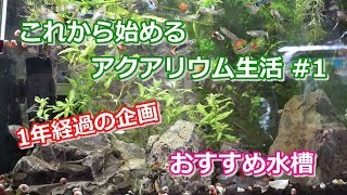 初心者アクアリウム　これから始めるアクアリウム生活#1　（初心者におすすめの水槽紹介＆立ち上げ）