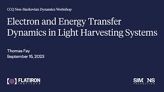 Non-Markovian Dynamics Workshop - Thomas Fay (September 15, 2023)