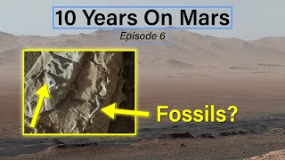 10 Years On Mars (Ep 6): Curiosity Could Have Found Fossils
