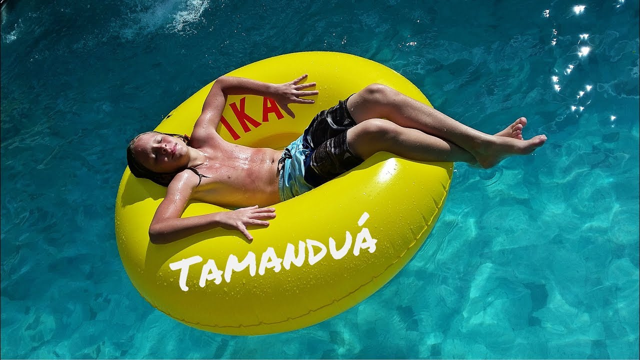 Mergulho Na Piscina Youtube