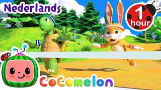 Haas en de schildpad Race! | CoComelon Nederlands - Kinderliedjes