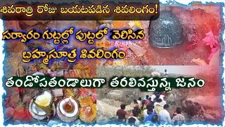 సర్వారం గుట్టల్లో పుట్టలో వెలిసిన బ్రహ్మసూత్ర శివలింగం || ఓం నమః శివాయ #sarvaram #omnamahshivaya