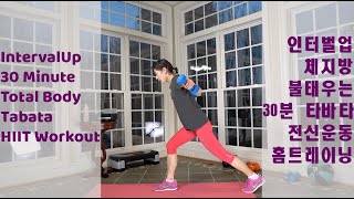 IntervalUp 30 Minute Total Body Tabata HIIT Workout with Dumbbells 인터벌업 체지방 불태우는 30분 타바타 전신운동 홈트레이닝