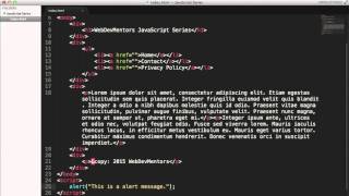 Alert function in Javascript