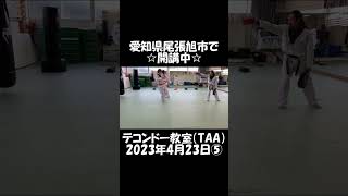 「テコンドー教室（TAA）」2023年4月23日⑤