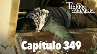 Tierra Amarga - Capítulo 349