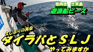 【SLJ＆タイラバ】博多湾ちょい沖　SLJ＆タイラバやってみた