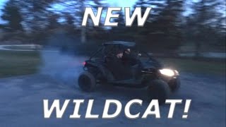 SXSBlog picks up a Wildcat from MLS Powersports!