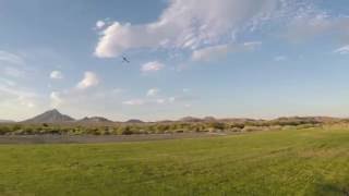 Ben Storick-Align T Rex 700E 3Blade Flight