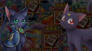 黒猫のウィズ セーラームーンコラボ 「2匹の黒猫」 プロローグ