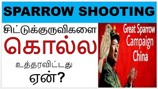 சிட்டுக்குருவிகளை கொல்ல  உத்தரவிட்டது CHINA Famine Sparrow shooting  ஏன் arise roby